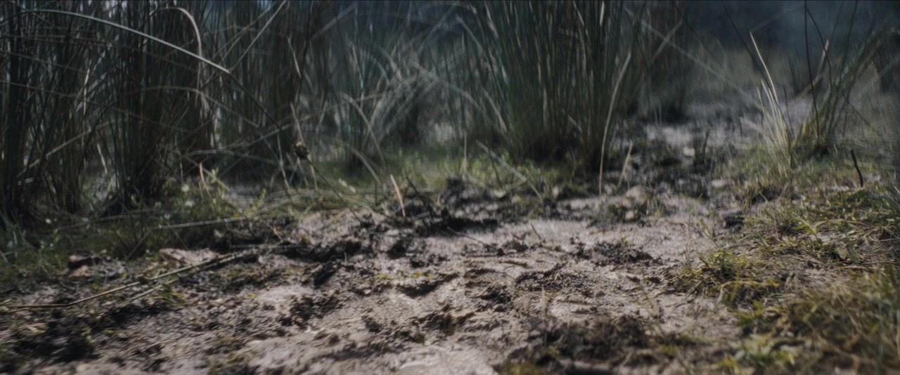Quicksand screenshot 1