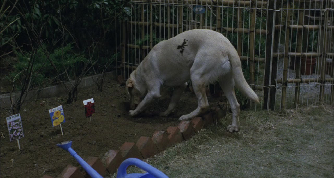 Kuîru screenshot 3