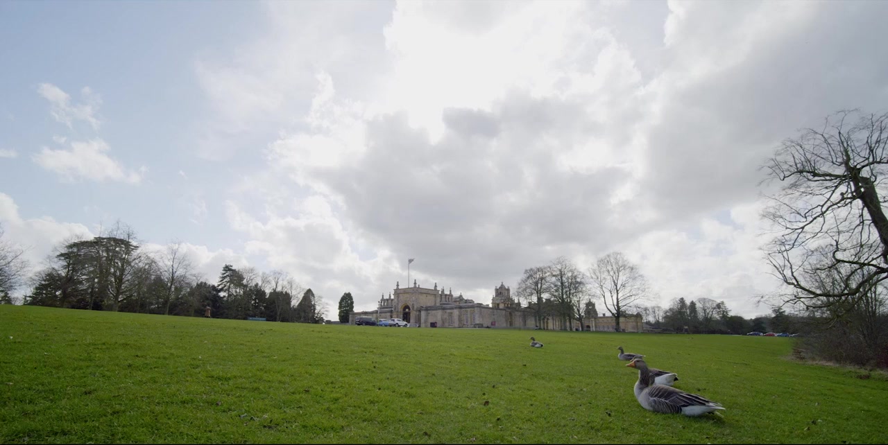 Quintessentially British screenshot 3