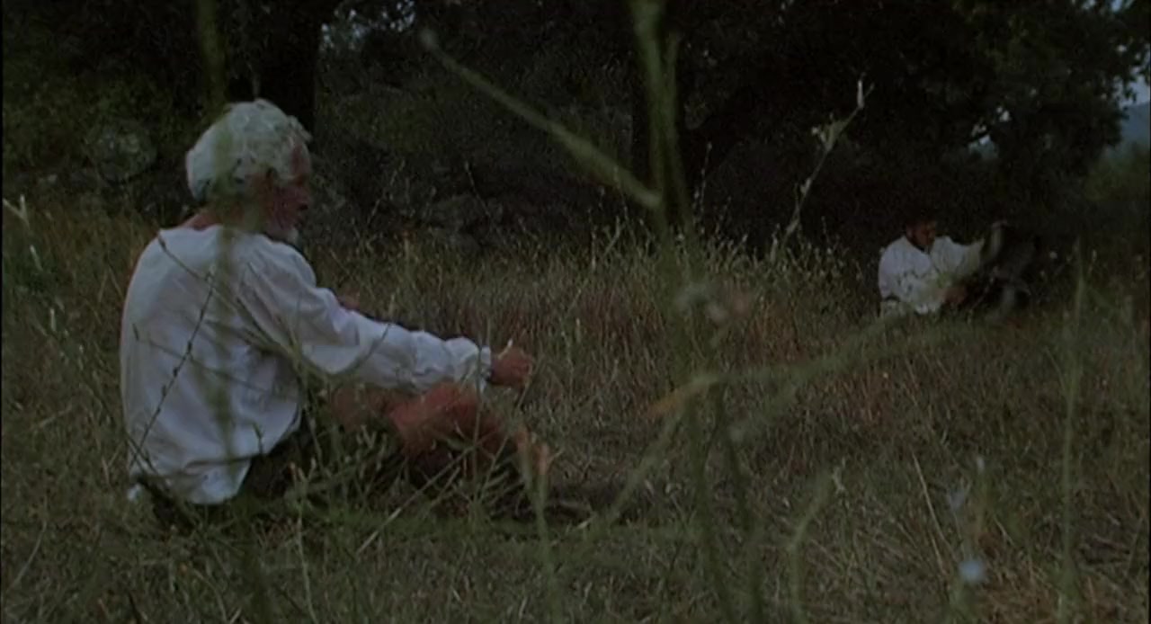 Honor de cavalleria screenshot 1