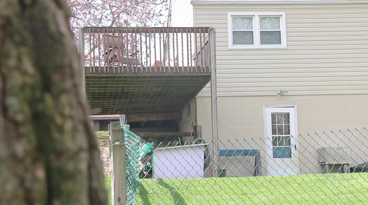 Rough Cut screenshot 2