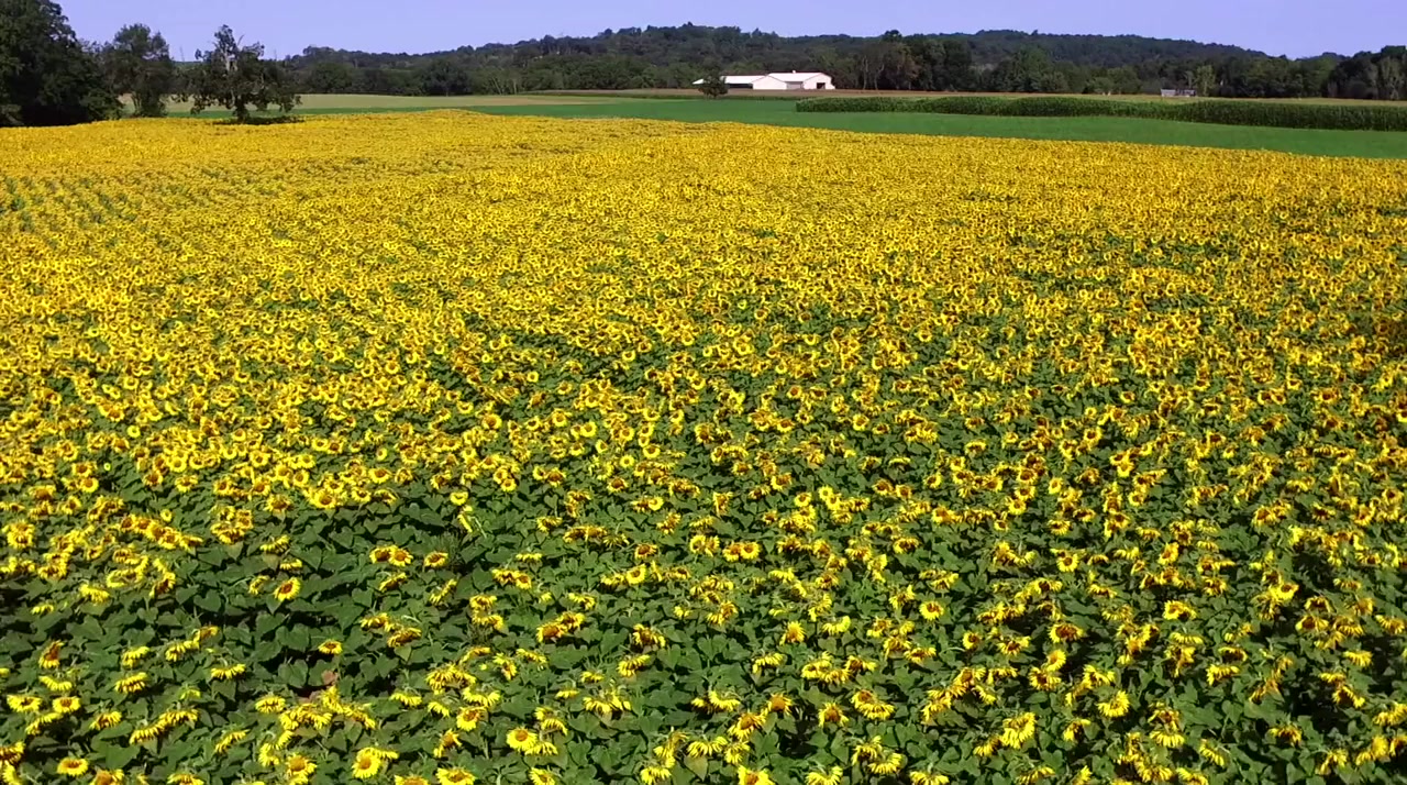 Route 80 screenshot 1
