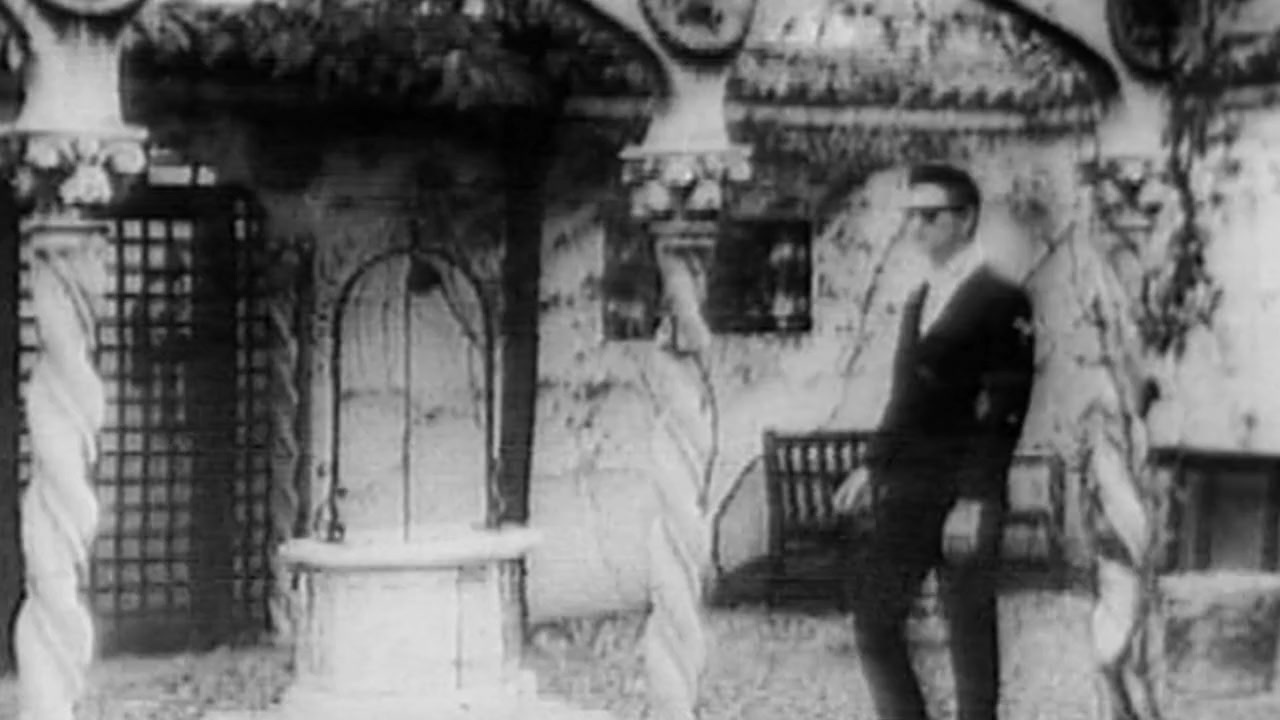 Roy Orbison Forever screenshot 2