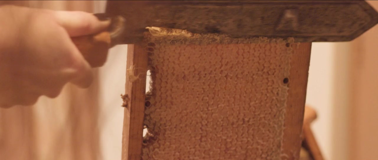 Royal Jelly screenshot 2