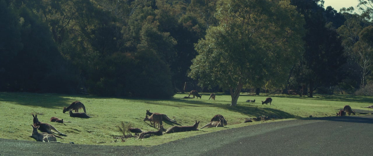 Road to Perth screenshot 3