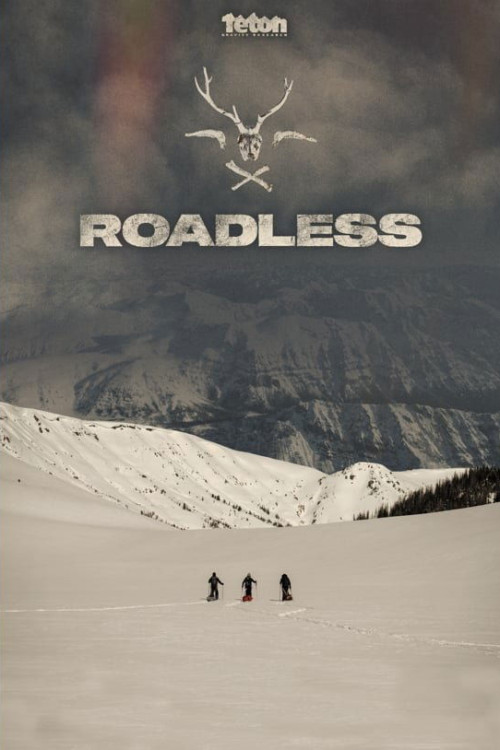Roadless (2019) poster