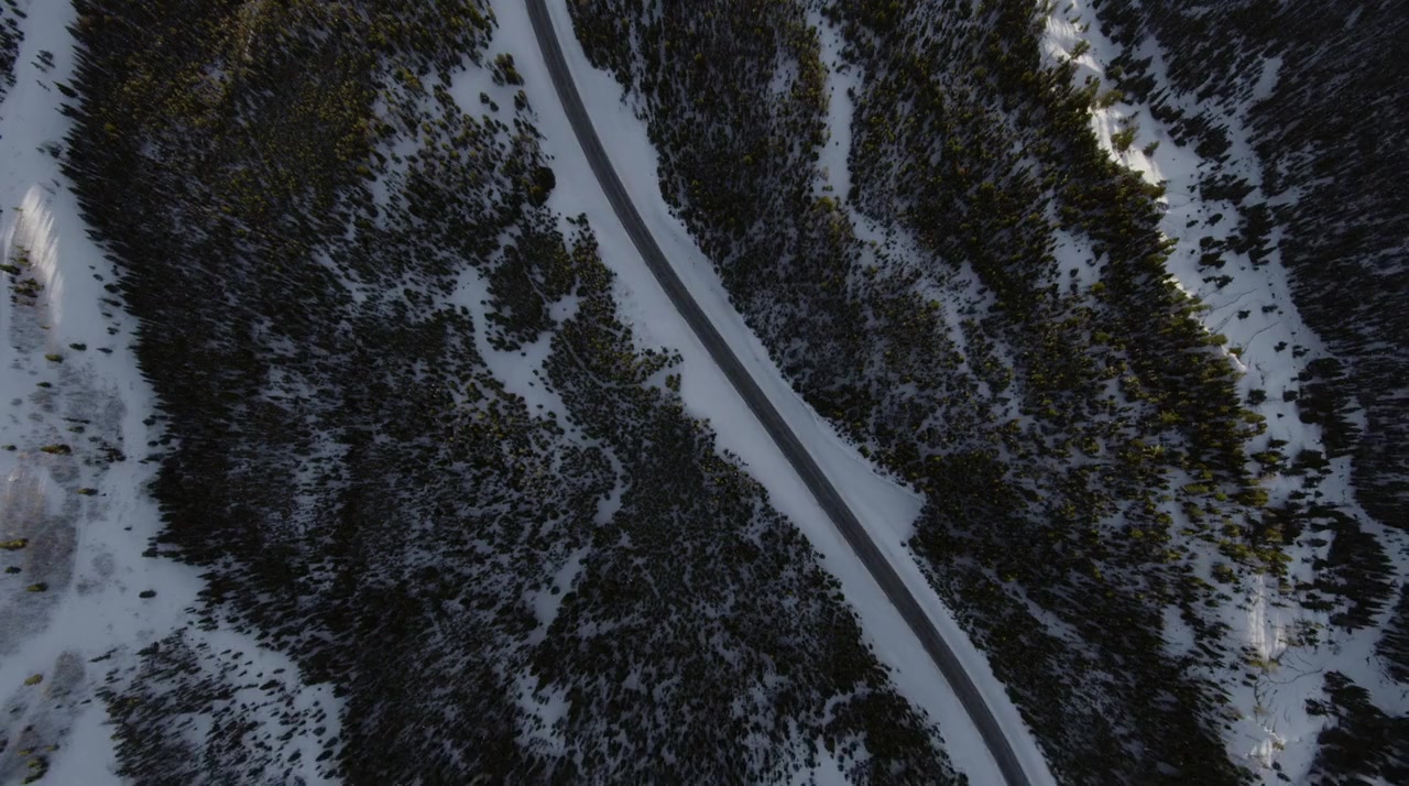 Roadless screenshot 3