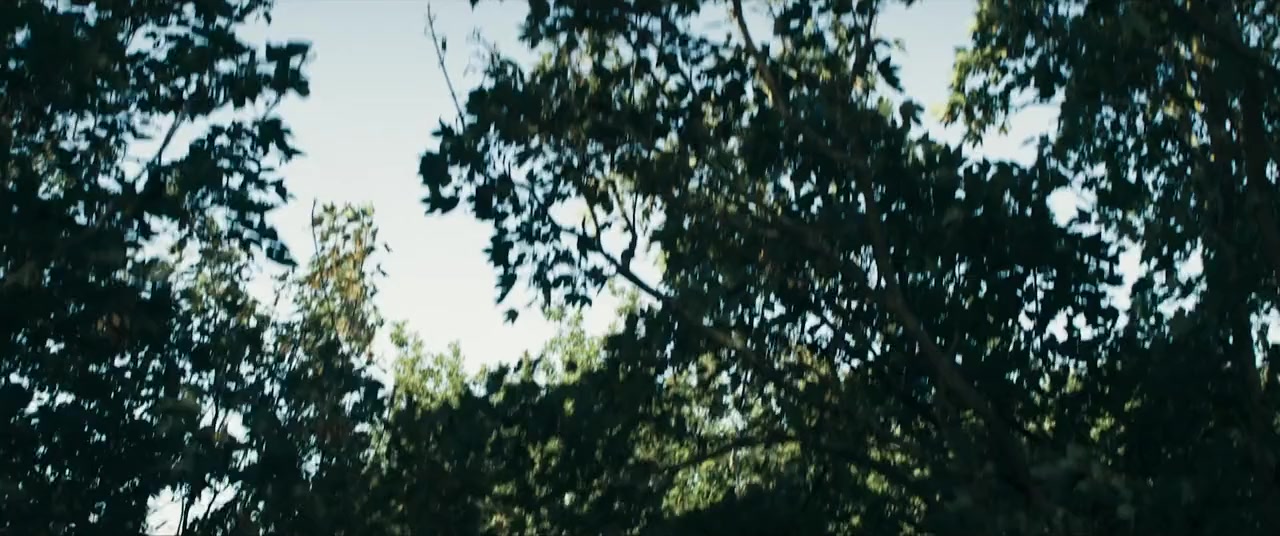 Robin and the Hoods screenshot 2