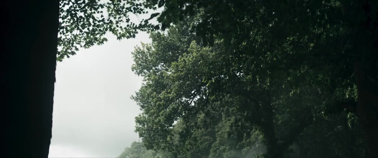 Robin and the Hoods screenshot 3