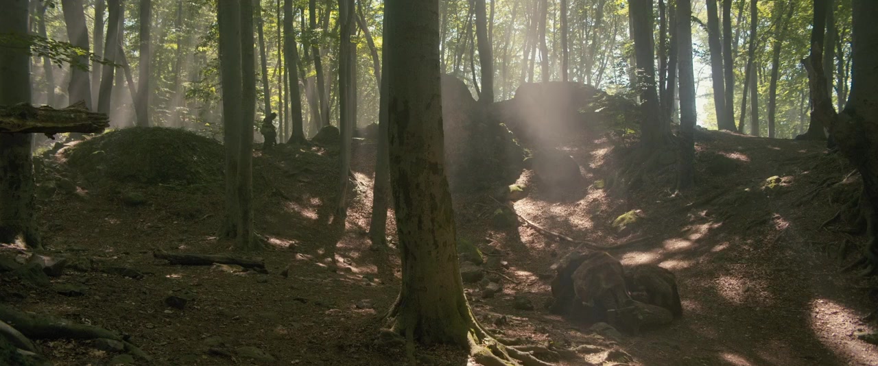 Robin des Bois, la véritable histoire screenshot 2