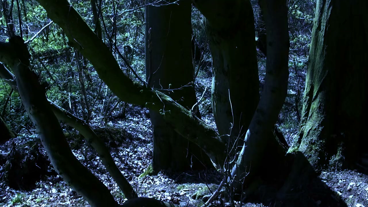 Robin Hood: Ghosts of Sherwood screenshot 3