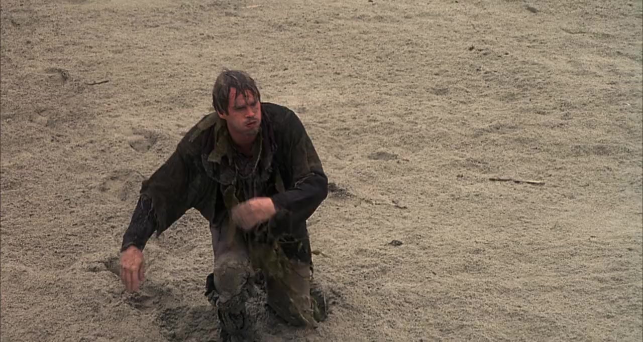 Robin Hood: Men in Tights screenshot 2
