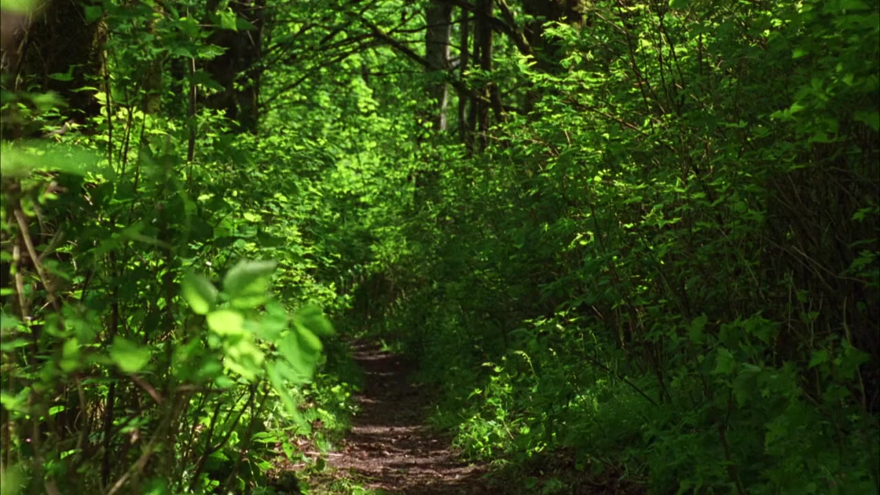 Robin of Locksley screenshot 1