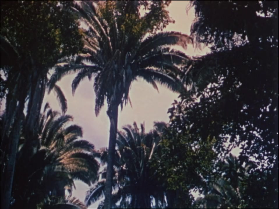 Robinson Crusoe screenshot 2