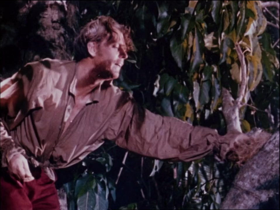 Robinson Crusoe screenshot 3