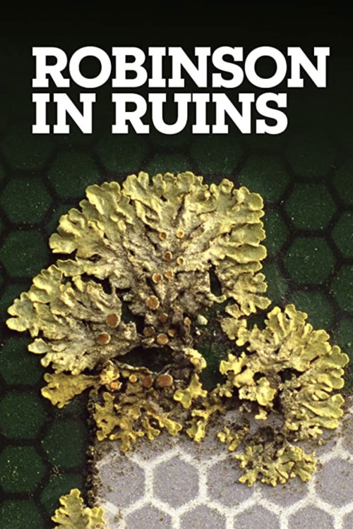 Robinson in Ruins (2010) poster