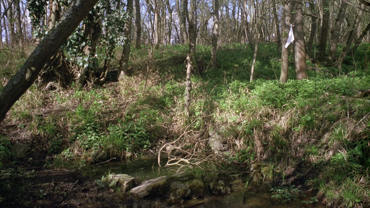 Robinson in Ruins screenshot 1