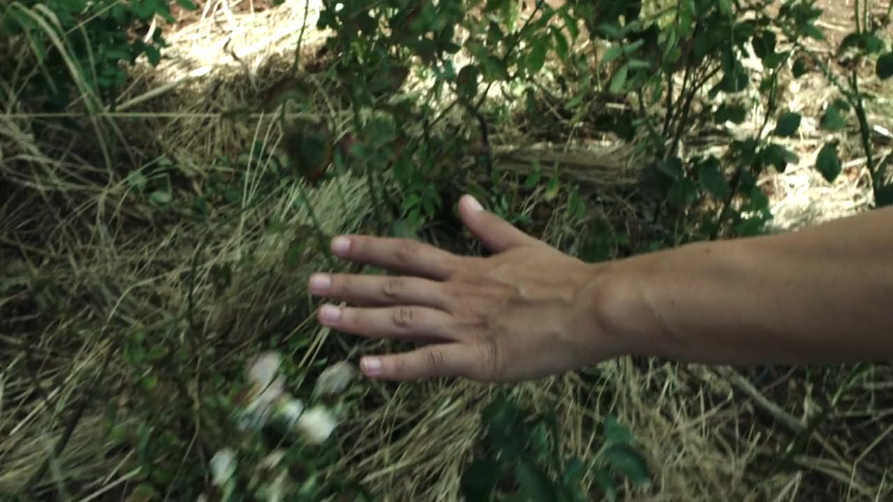 Rocco Chinnici screenshot 3