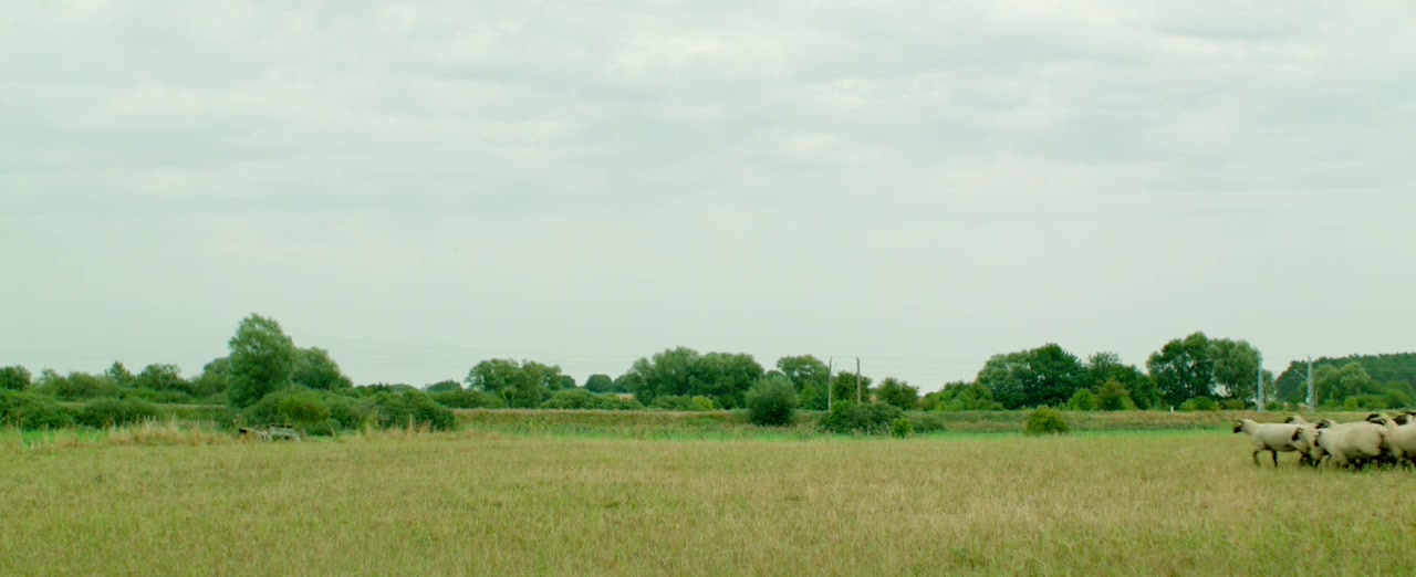 Rakete Perelman screenshot 3