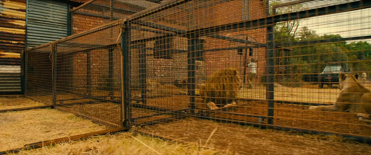 Rogue screenshot 1
