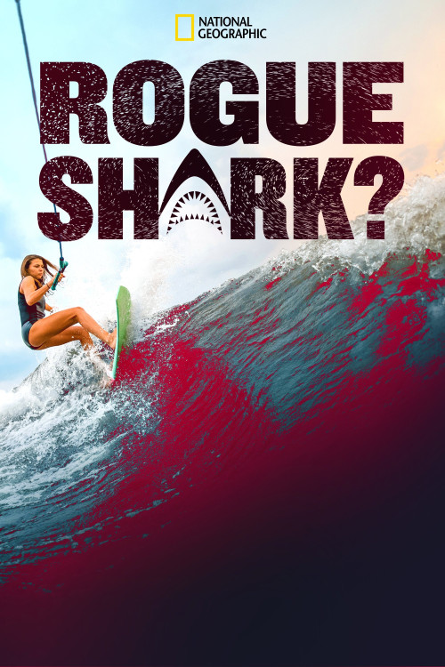 Rogue Shark? (2021) poster