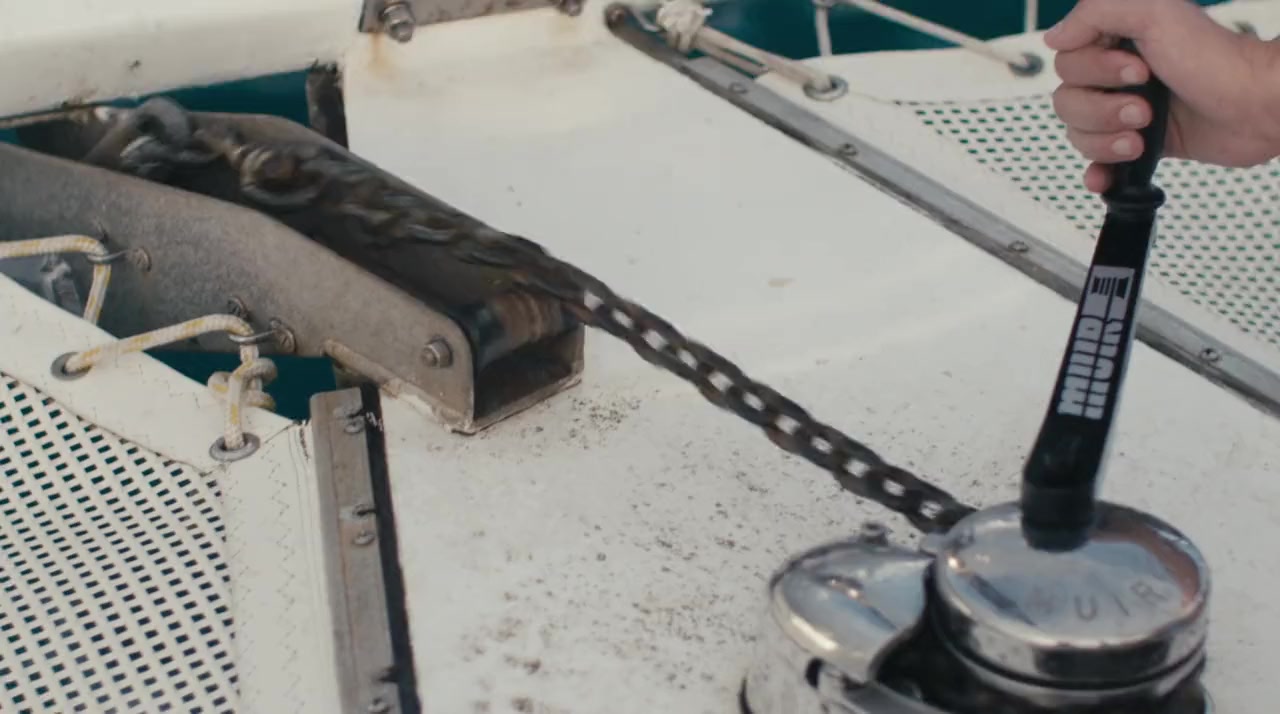 Rogue Shark? screenshot 2