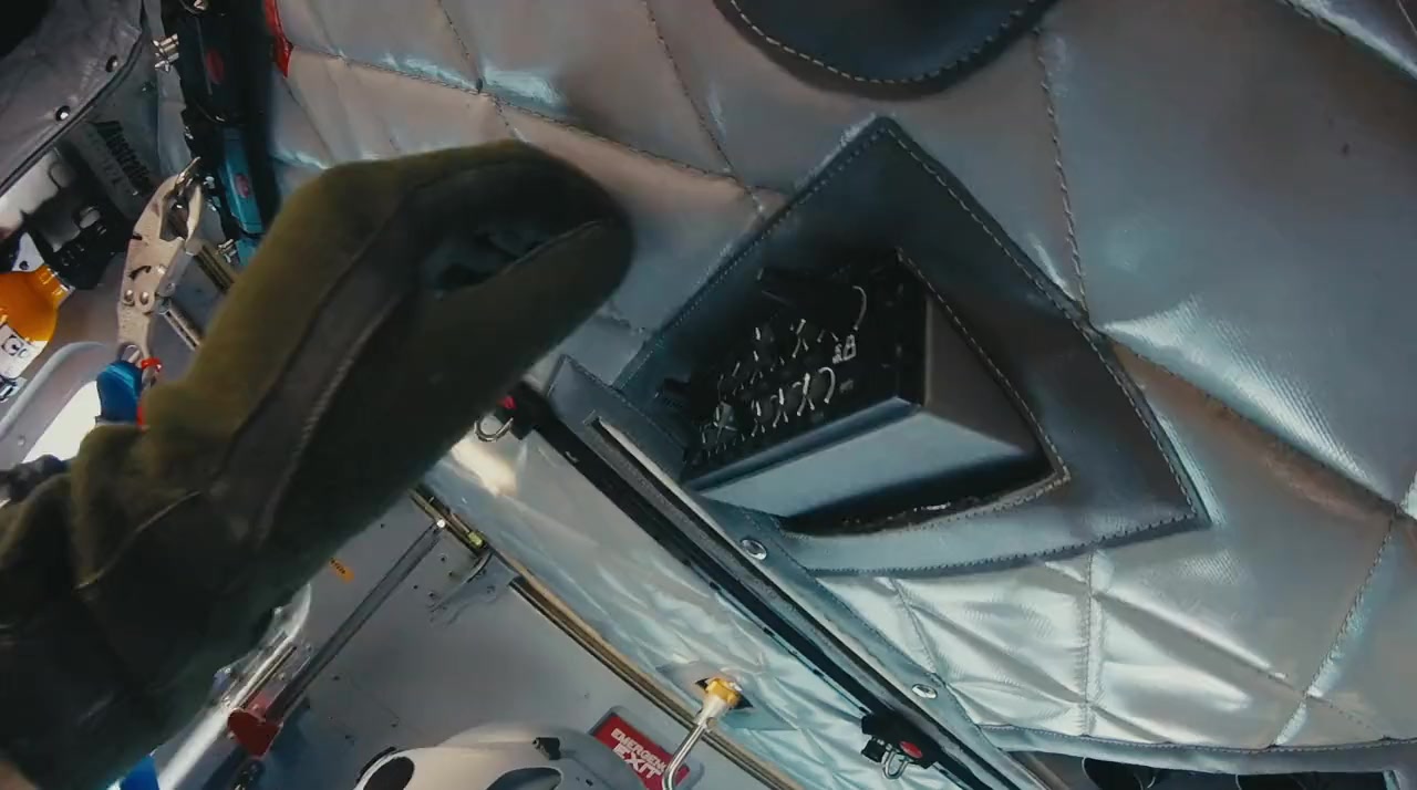Rogue Shark? screenshot 3
