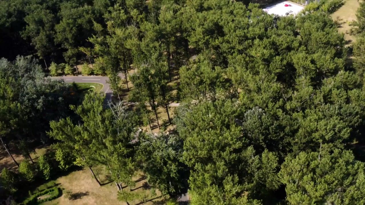 Romantic Friction screenshot 1