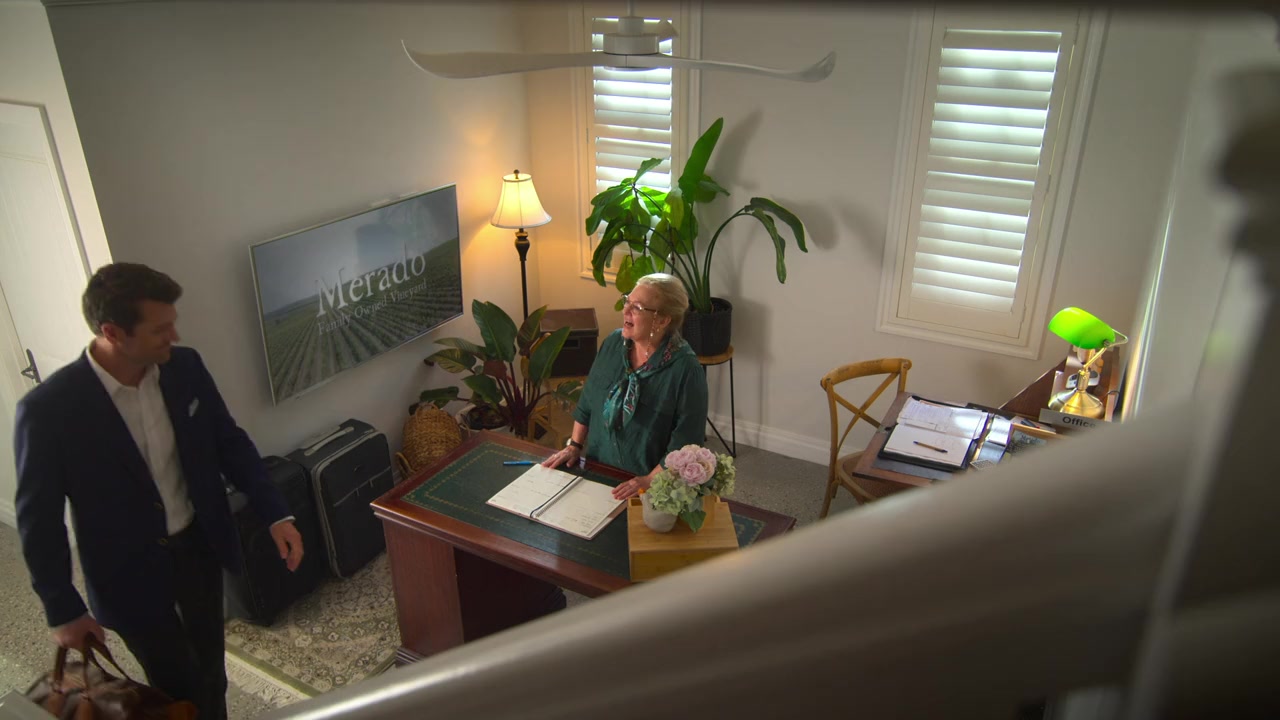 Romance at the Vineyard screenshot 2