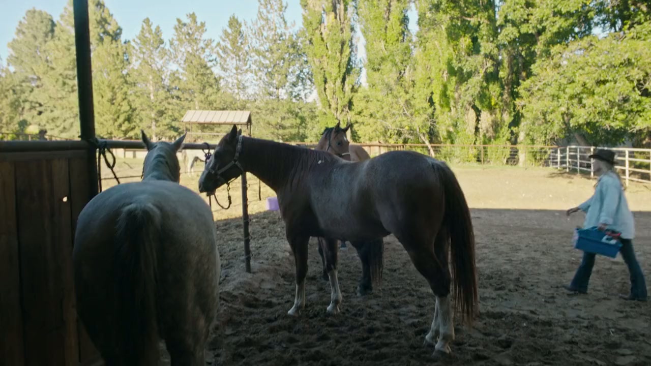 Romance at Hope Ranch screenshot 3