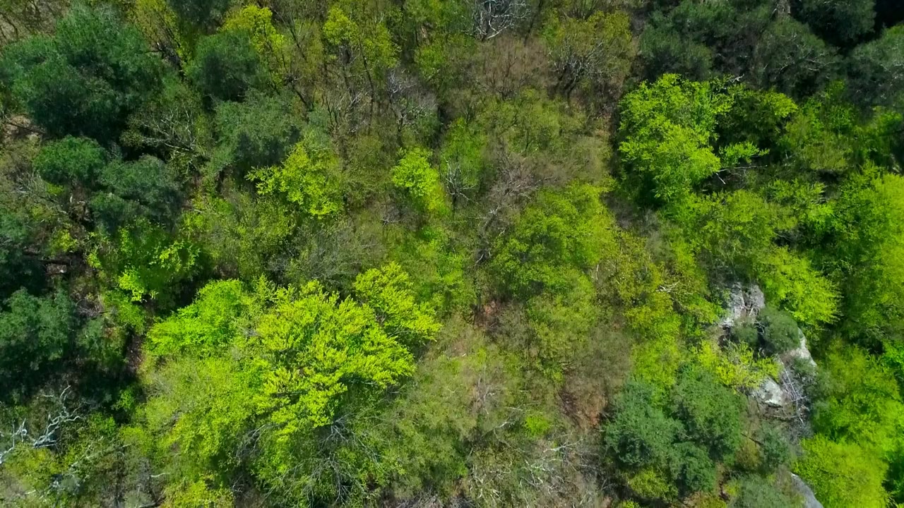 România neîmblânzitã screenshot 2