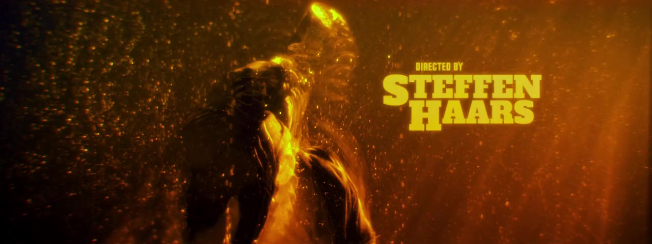 Ron Goossens, Low Budget Stuntman screenshot 3