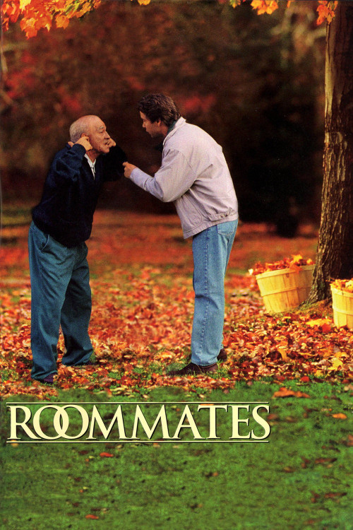 Roommates (1995) poster
