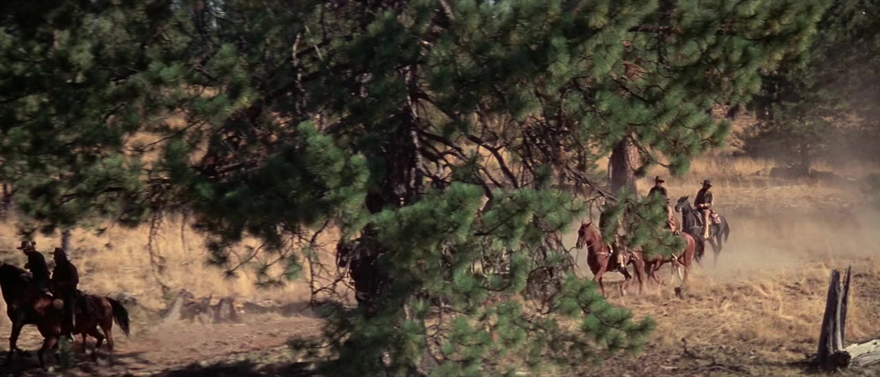 Rooster Cogburn screenshot 3