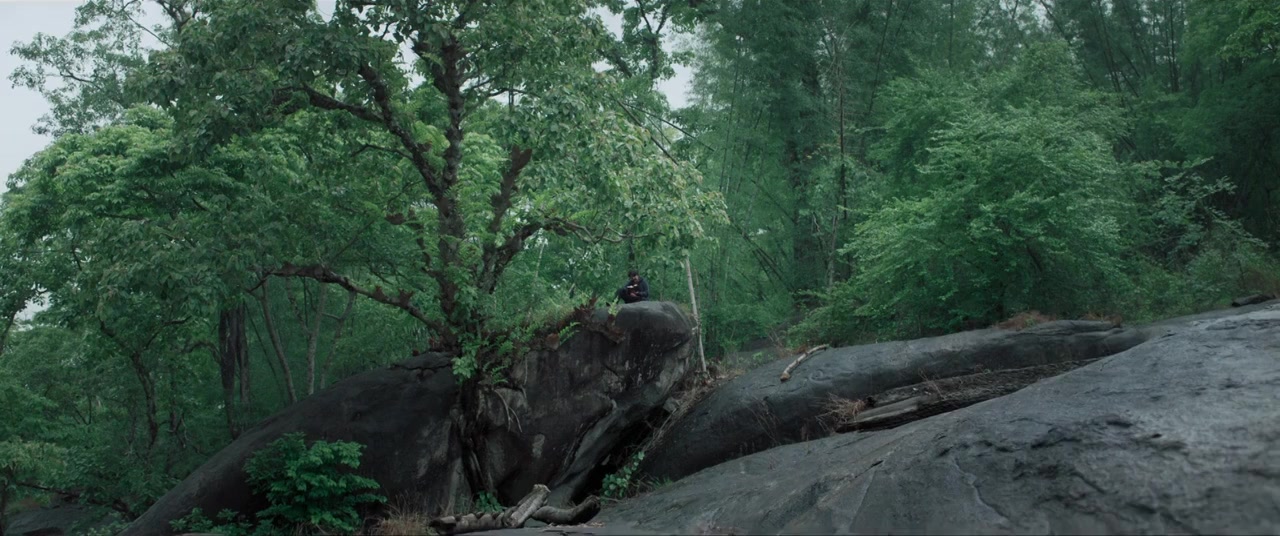 Rorschach screenshot 2