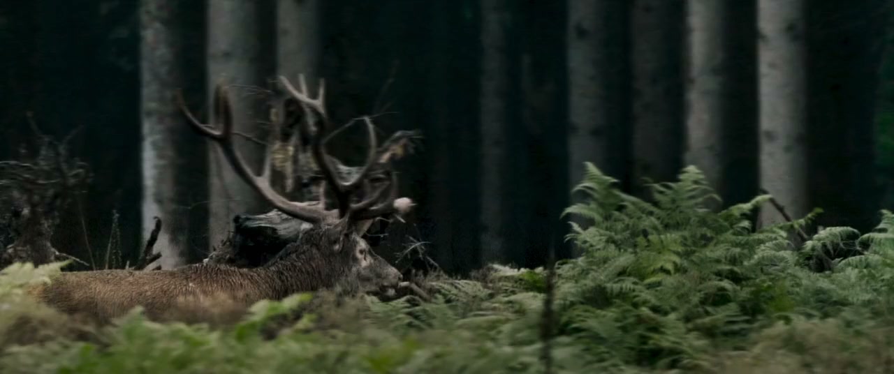 Rosalie screenshot 3