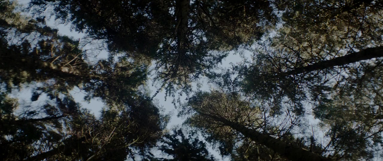 Rose screenshot 1
