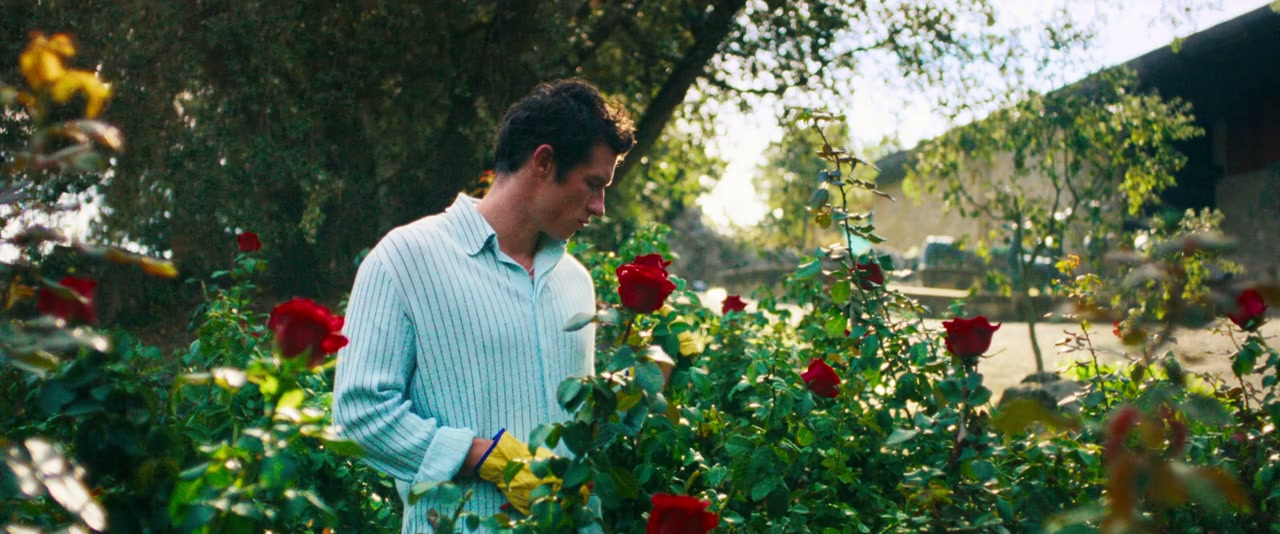 Rosebush Pruning screenshot 1