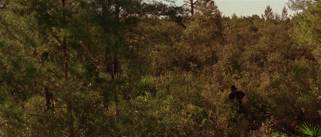 Rosewood screenshot 2