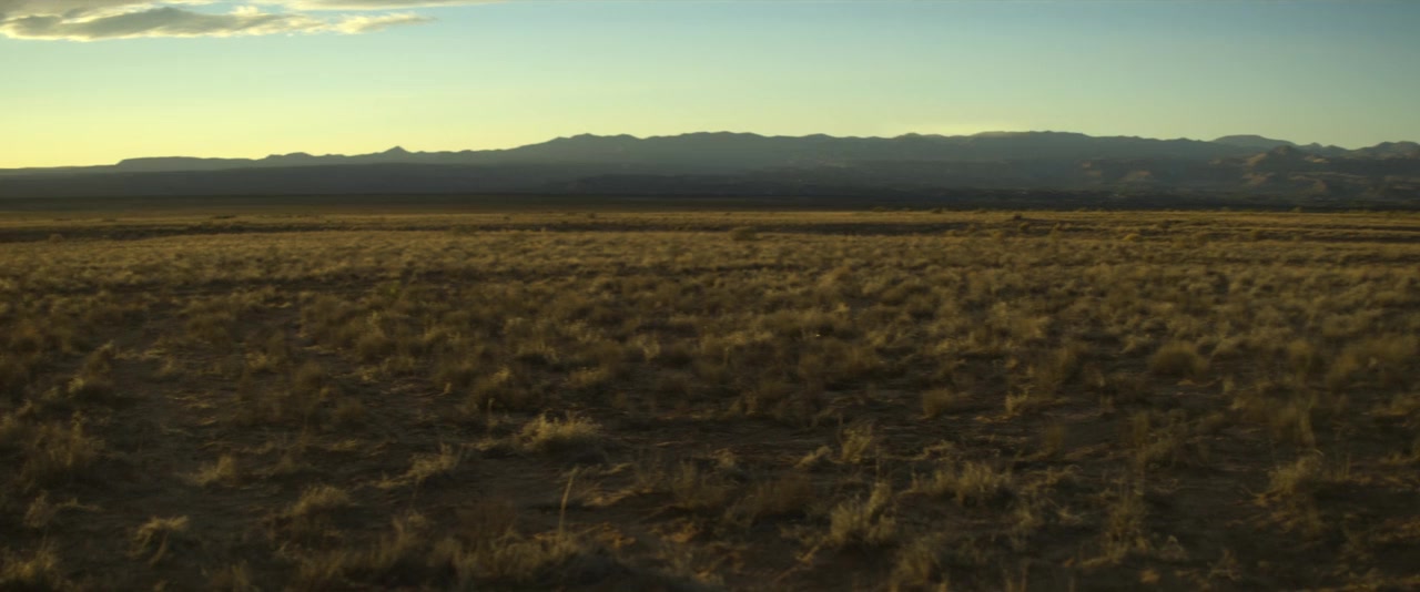 Rattlesnake screenshot 3