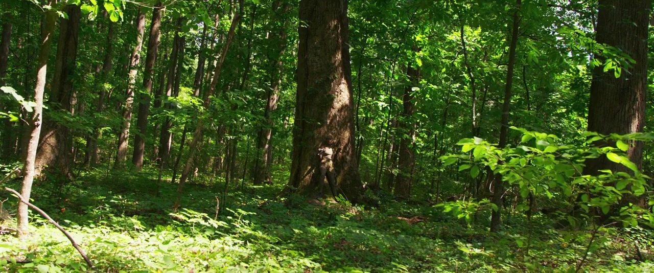 Swing Low screenshot 1