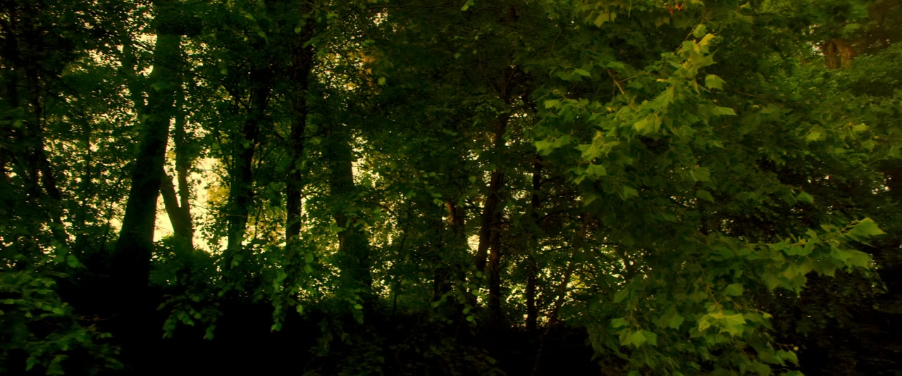 Swing Low screenshot 2