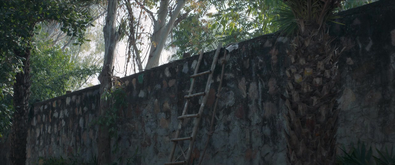 Raat Akeli Hai: The Bansal Murders screenshot 1