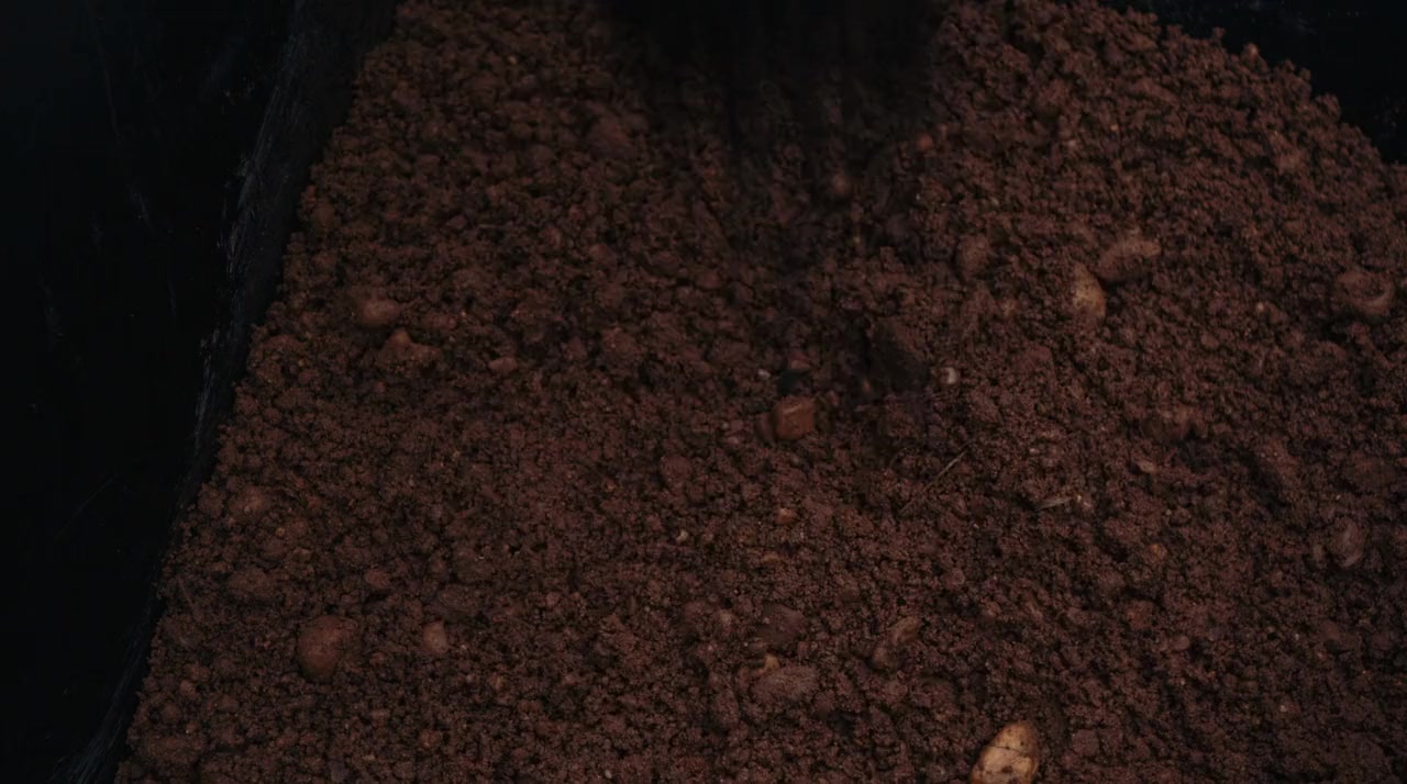 Rabbit Hole screenshot 2