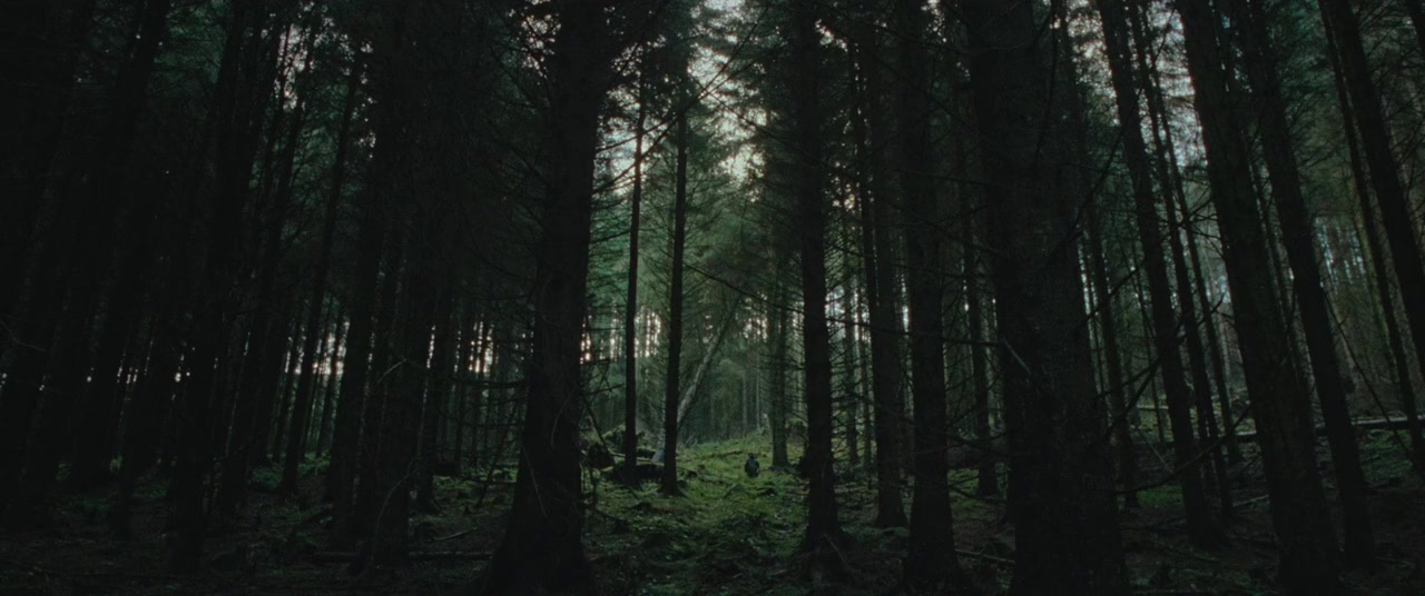 Rabbit Trap screenshot 1
