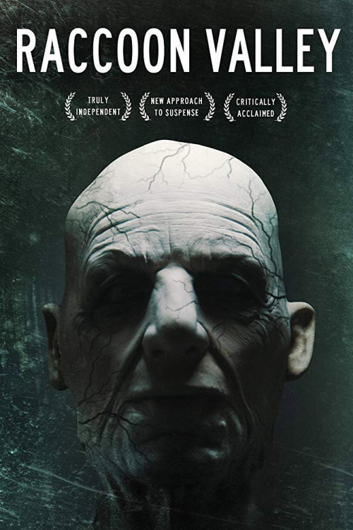 Raccoon Valley (2018) poster
