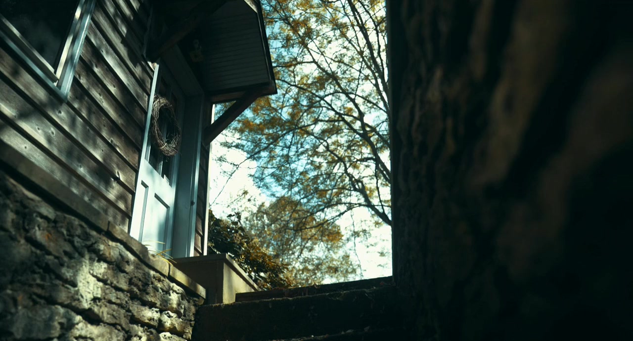 Raccoon Valley screenshot 1