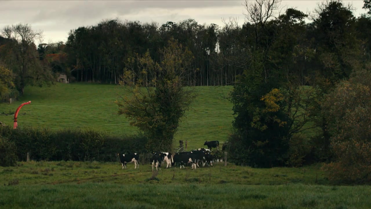 Rachael Blackmore: A Grand Year screenshot 1