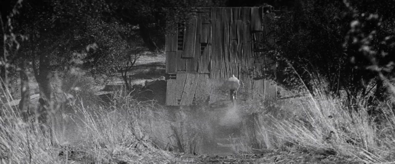 Radio Flyer screenshot 3