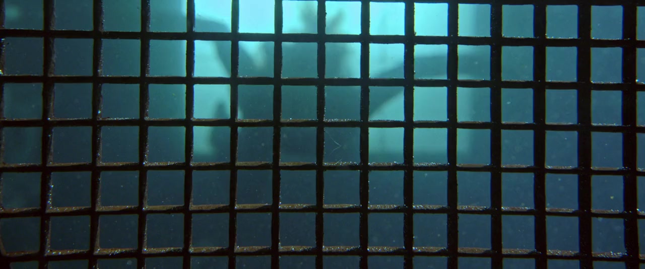 Radioflash screenshot 2